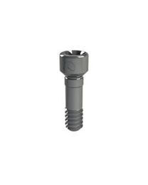 DAS - Dynamic Screw - Hex 1.7 - M 1.6 - L 6.6 mm