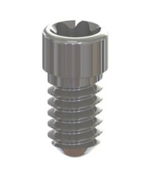 DAS - Dynamic Screw - Hex 1.7 - M 2 - L 4.7 mm