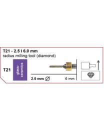 Imes-Icore - Radius Milling Tool - Ø 2.5 mm - T21 - Shaft 6 mm