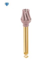 Eve - Diacomp Plus - DCP-Ofm - RA - (10 pcs)