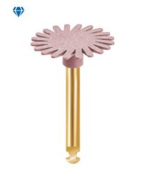 Eve - Diacomp Plus - TWIST XT - DT-DCP-XT14m - RA - (10 pcs)