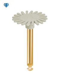 Eve - Diacomp Plus - TWIST XT - DT-DCP-XT14f - RA - (10 pcs)
