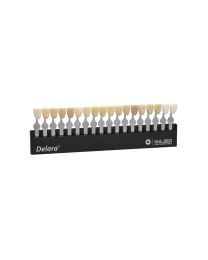 Kulzer - Delara Shade Guide - (1 pc)