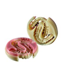 Dentalplus - Eldy Plus Blank - Multicolor - Ø 98.3