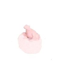 Wiegelmann - Bonrock - Pink - Class 4 - (20 kg)