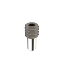 LV FIX TI GR5 SCREW Ø 1.2 MM - L 4 MM - (1 pc)