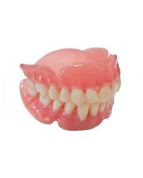 Envisiontec - E-Denture 3D+ - Translucent Pink - (1 kg)