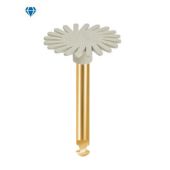 Eve - Diacomp Plus - TWIST XT - DT-DCP-XT14f - RA - (10 pcs)