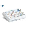 Eve - Diacomp Plus - Mix - RA 344 - (1 set)