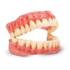 Kulzer - dima Print - Denture - (1 kg)