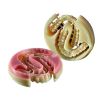Dentalplus - Eldy Plus Blank - Multicolor - Ø 98.3