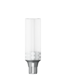 Castable CoCr Abutment