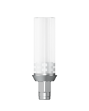 Castable CoCr Abutment