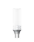 Castable CoCr Abutment