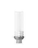 Castable CoCr Abutment