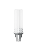 CoCr Abutment