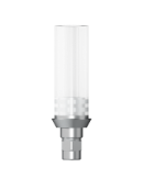 Castable Gold Abutment